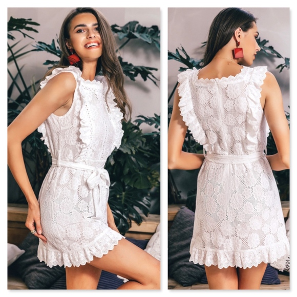 Eyelet White Belted Fit and Flared Mini Dress - Picture 3 of 8
